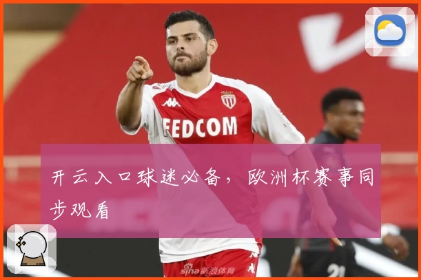 开云入口球迷必备，欧洲杯赛事同步观看