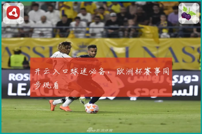 开云入口球迷必备，欧洲杯赛事同步观看