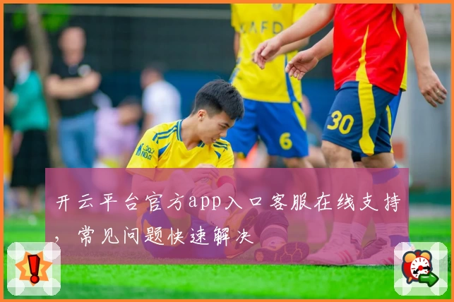 开云平台官方app入口客服在线支持，常见问题快速解决