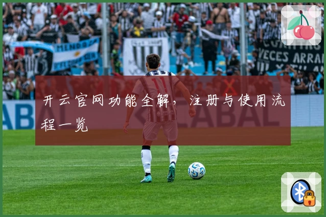 开云官网功能全解，注册与使用流程一览